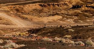 英超 ｜利物浦下季轉Adidas球衣贊助 簽約5年 每年袋6千萬鎊