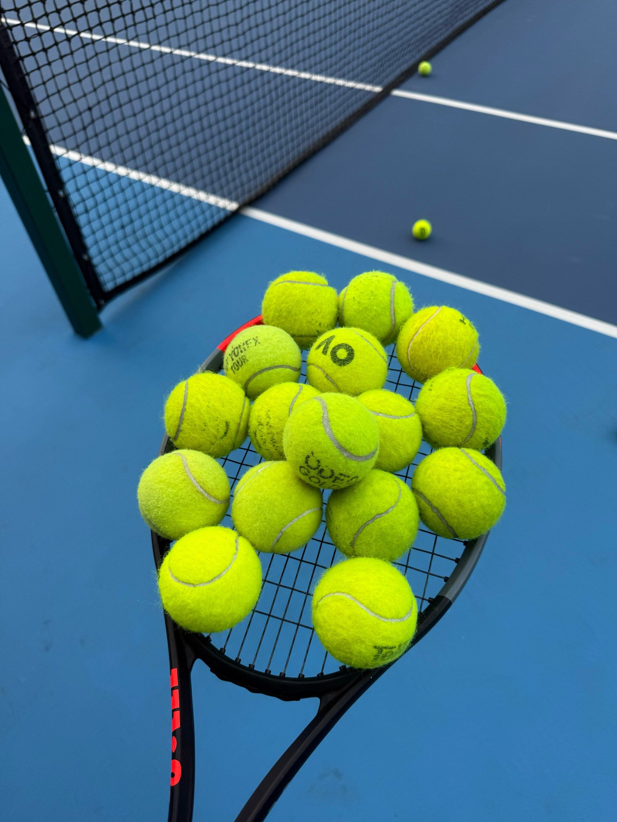 一颗不可忽 一颗不可忽